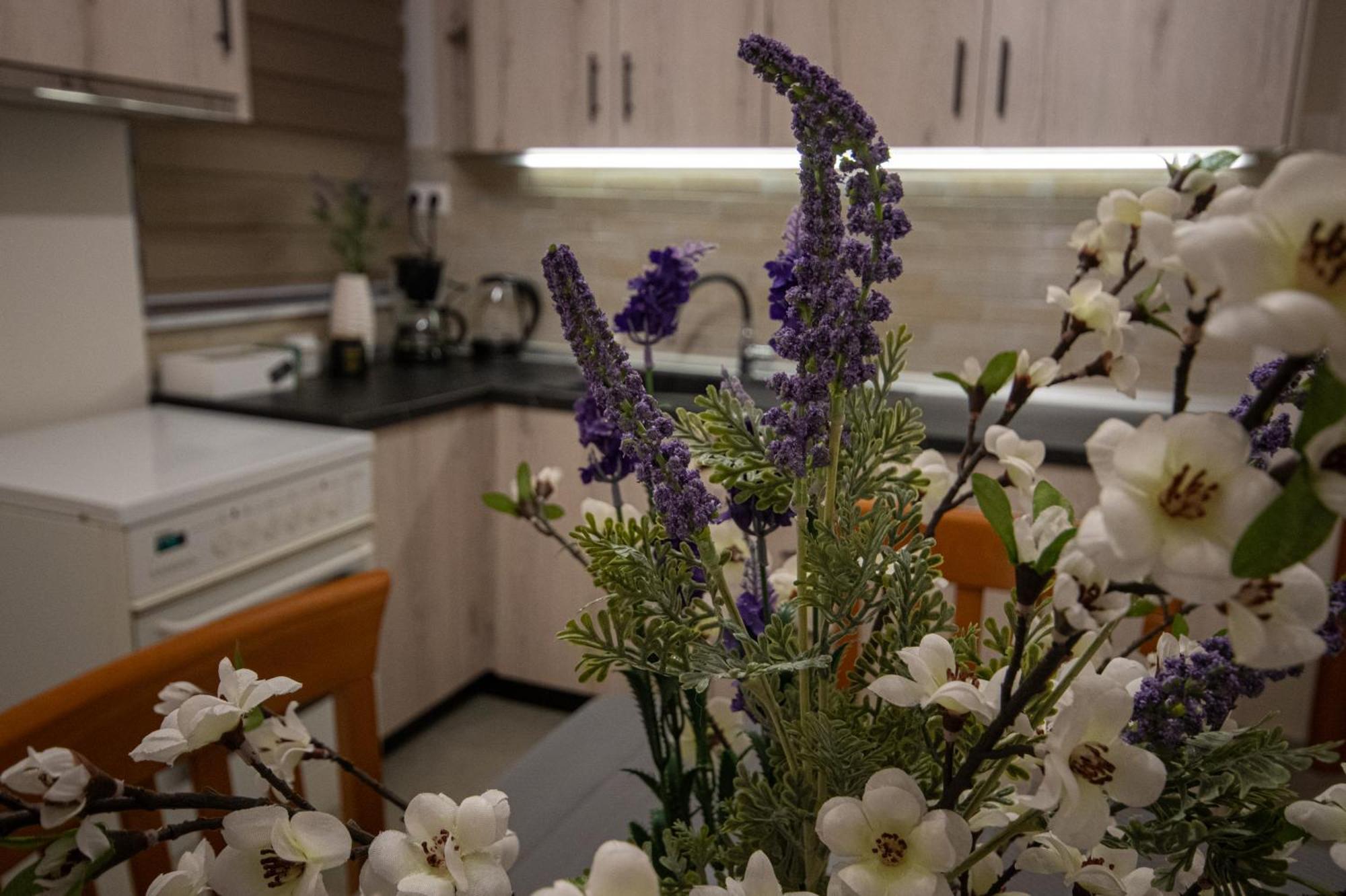 Axd Center Apartment Александруполис Екстериор снимка